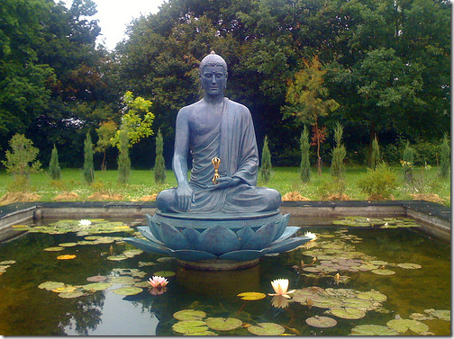 vajrasana - position du lotus - L'Art de la Méditation