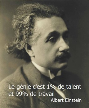 La Voie Du Guerrier - genie talent Einstein