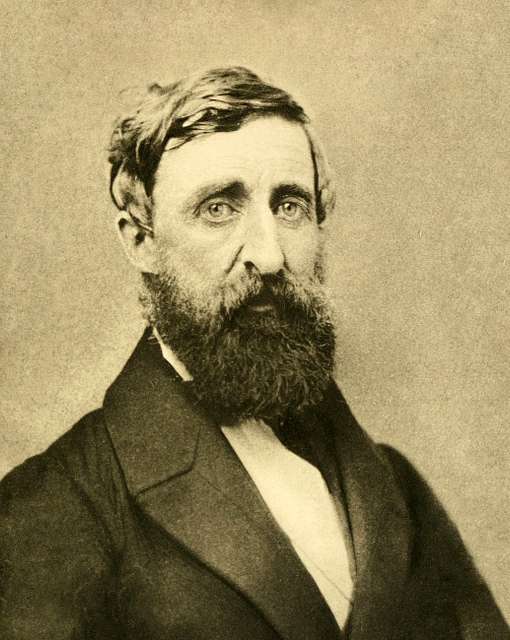 Henry David Thoreau Philosophe