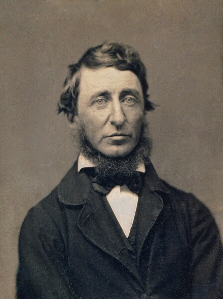 Portrait d'Henry David Thoreau