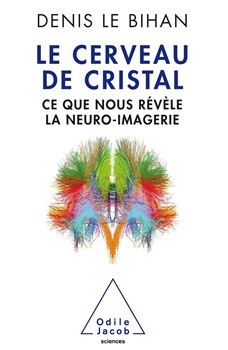 Le cerveau de cristal - Denis Le Bihan