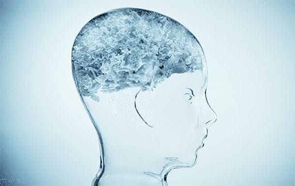 Le cerveau de cristal - Denis Le Bihan