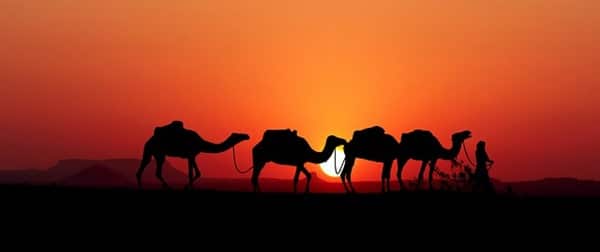 caravane chameaux histoire de l'alchimiste