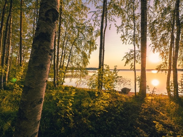 lien des finlandais avec la nature gens heureux