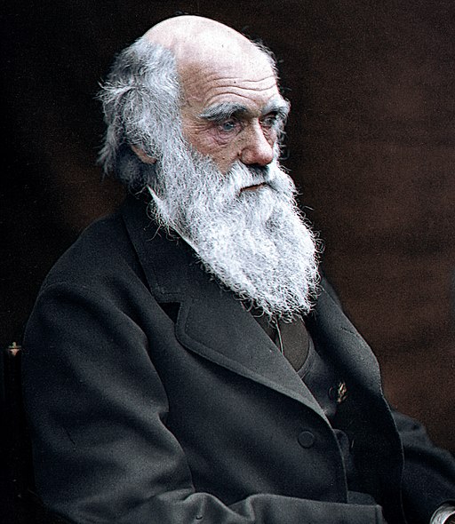Transformation Charles Darwin atteindre l'excellence